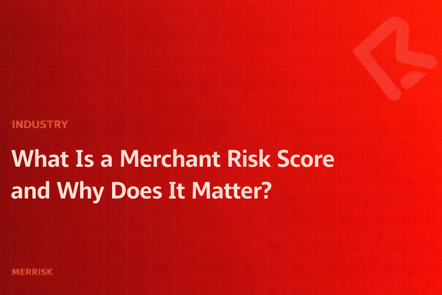 What Is a Merchant Risk Score and Why Does It Matter?